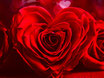 Voodoo Feuer - Find Love
