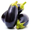 Aubergines greffées