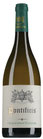 Pontificis Chardonnay-Viognier 2022