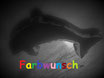 Farbwunsch-Motivkissen "Delfin"