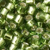 Miyuki Delicas 11/0 - Fern Green - silverlined (1207·B10)