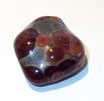 DBOBSPEBR OBSIDIAAN PEANUT BRUIN