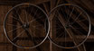 True Carbon Gravel Wheel Huboption DT 350