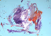 Kollaborationen 039 (Girlie, Leon und Panya), 2024