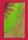 Art. 211