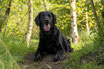Halbtagesseminar (Anfänger) No.11  "Markierungen & Einzel walk up"  Samstag, 02.05.2026 09:00 - 13:00 Uhr