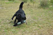 Tages-Seminar No. 34  Dummy "Auf dem Weg in die A"  Samstag der 25.10.2025 08:30 - 16:00 Uhr