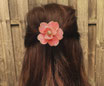 Pique Cheveux Rose