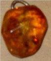 AMBER