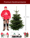 Nordmanntanne Premium 100 - 130 cm