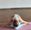 Yoga Kurs