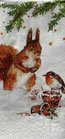 207　51703  Squirrel Robin
