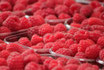 Himbeeren "AT"