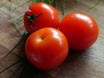 Tomaten / Paradeiser "ES"