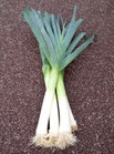 Poireaux BIO