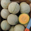 Melons bio