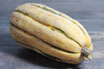 Courge Delicata BIO