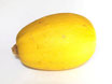 Courge spaghetti BIO