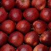 Pommes bio