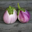 Aubergine rosa bianca