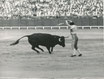 La corrida - Pierluigi Praturlon