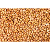 Bagged Peanuts