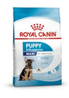 RC Puppy / Junior