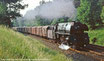 01.5 in Spur 1 - 01 0535-3