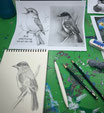 Adult Drawing II, Monday 10:30am-11:45am