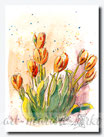 Tulpen