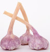 Knoblauch