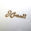 Polvere per Embossing Nellie's Choice Gold Metallic