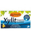 Xylit Kaugummi Icemint 12 Dragees 17g Birkengold