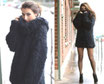 Modell: Black Bear
