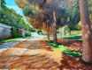 JARDÍN DEL TURIA XII - PECHINA