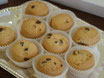 BISCOTTI AL BURRO CON GOCCE DI CIOCCOLATO