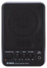 Yamaha MS101III
