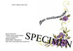 carte double  A6 décorée avec texte type