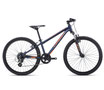 Orbea MX 24 Team