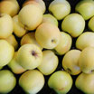 Pommes