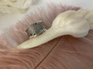 Ring Wella