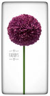 Faerbys flüssige Farb-Pigmente 15 ml.