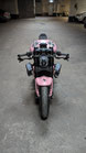 XDiavel SF V4 Winglet Kit + Winglets