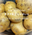 「太陽と畑の元気をそのまま」旬野菜アソート