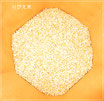 《＊ご予約》りびえ米 LIVIE MAI こしひかり 【単一原料米 玄米】 令和７（２０２５）年度産　5kg　定期便 月1回 《合計12回》＊９月以降のご配送です