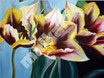 Tulpen