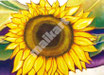 "Sonnenblume" /  "Meeresbrise"