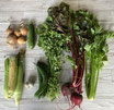 信州の旬の野菜セット Farm Box（8～10品目）