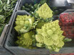 Chou romanesco