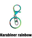 Schlüsselring rainbow Karabiner